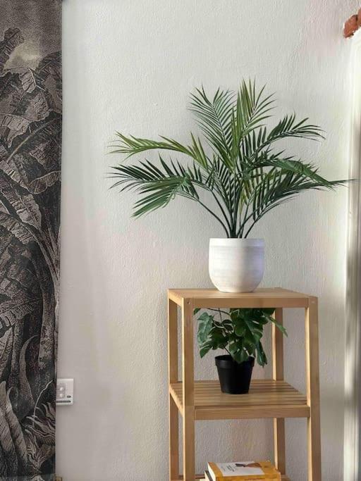Xenia Apartments - Charming Garden Suite In Porta Venezia 米兰 外观 照片