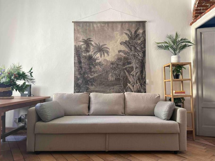 Xenia Apartments - Charming Garden Suite In Porta Venezia 米兰 外观 照片